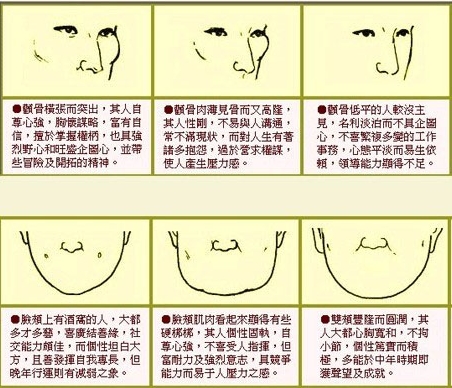 脸颊饱满面相财运富足