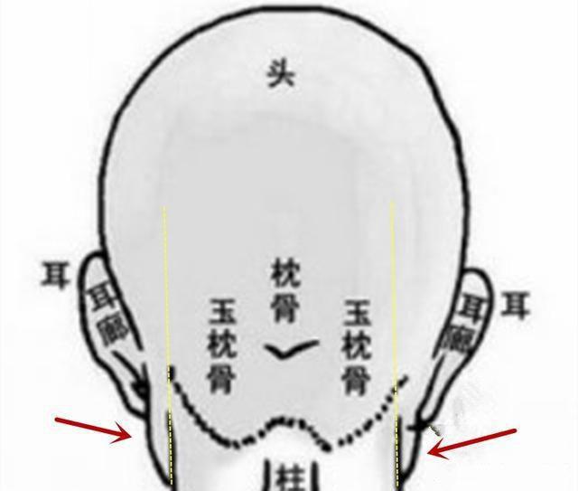 头无异骨难成贵相