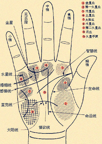 手相 生命线【图解】