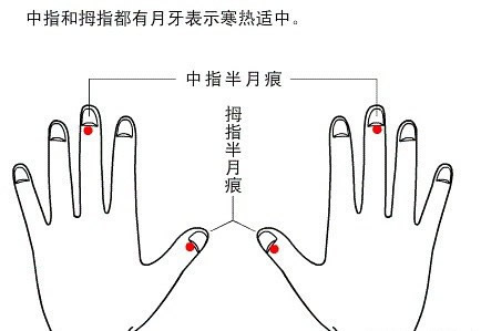 半月痕观健康图解6