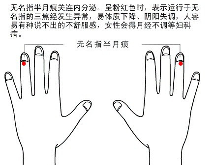 半月痕观健康图解4