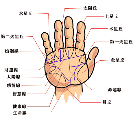 凯帝阿手相算命图解大全01