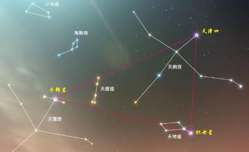 牛郎星属于什么星座