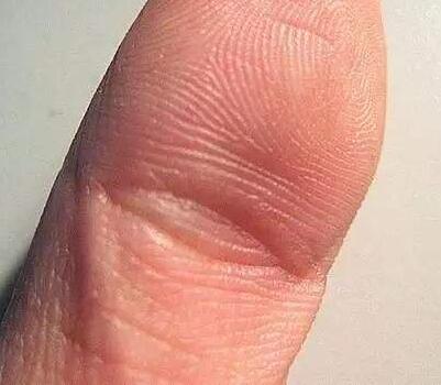揭秘手指三个螺纹是什么意思？