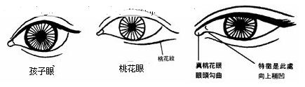 刘恒注解民间识人顺口溜，看眼睛面相知道命运