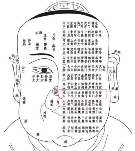 《太清神鉴》面部一百二十部位详解（建议收藏）