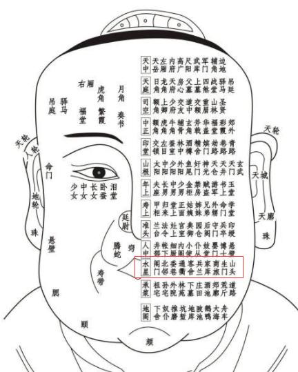 《太清神鉴》面部一百二十部位详解（建议收藏）