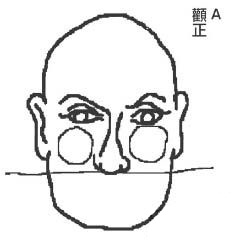 颧骨位置看你是否富贵